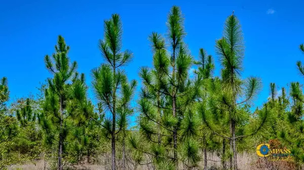 Bethune, SC 29009,5659 Mt Pisgah Rd