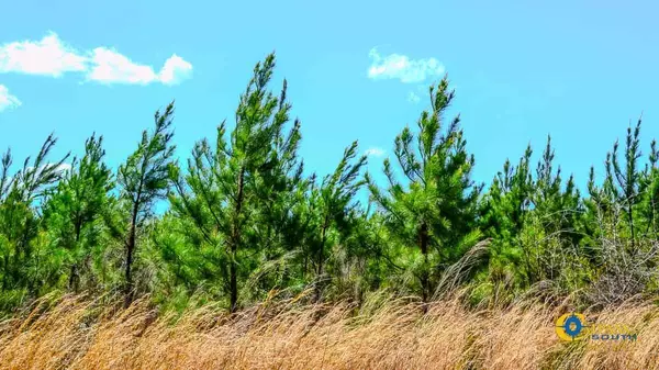 Bethune, SC 29009,5659 Mt Pisgah Rd