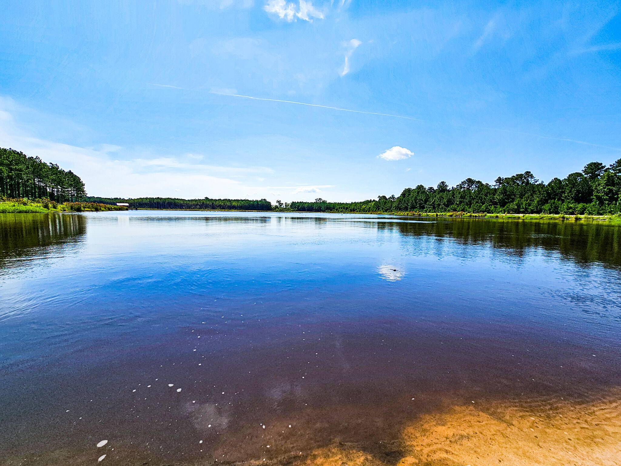 Walterboro, SC 29488,565 Hidden Lake Retreat