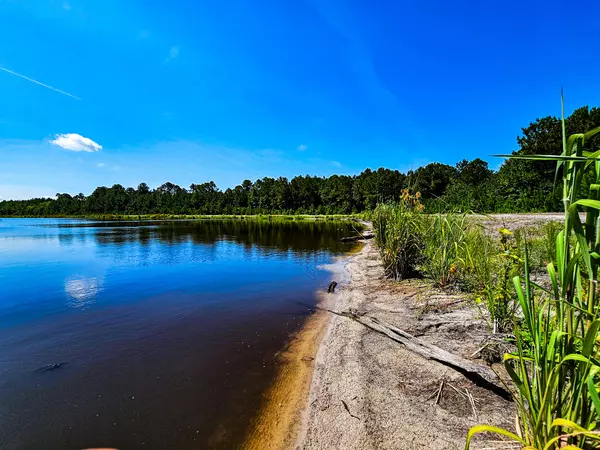 Walterboro, SC 29488,565 Hidden Lake Retreat