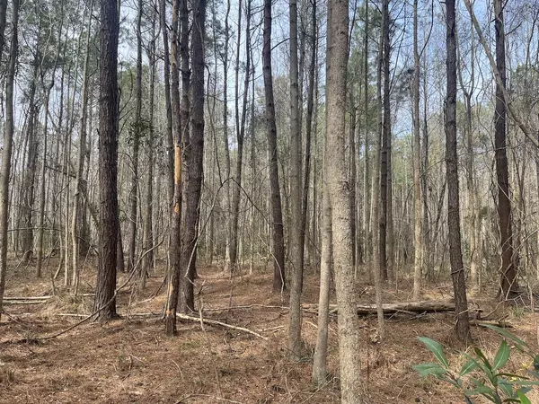 Walterboro, SC 29488,01 Bee Dr