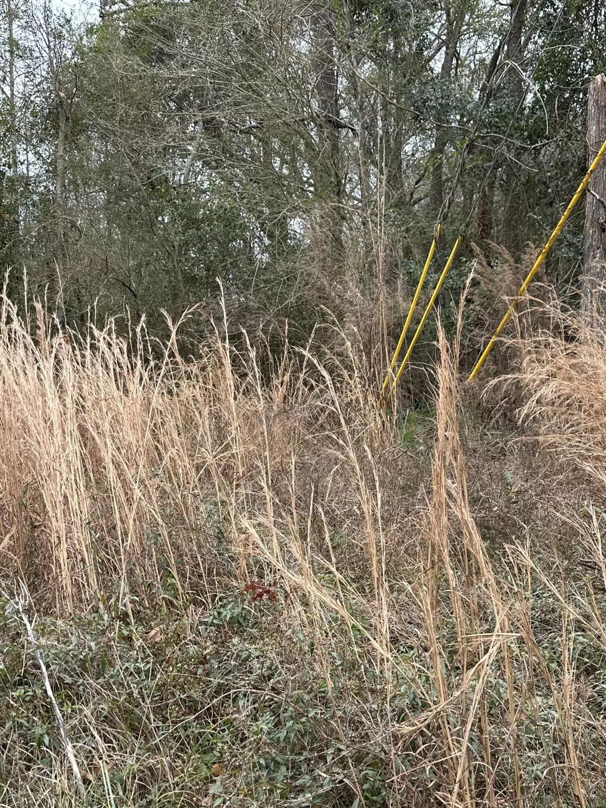 Summerville, SC 29483,0 Scotch Range Rd