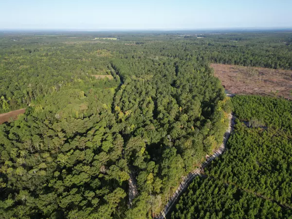 Rowesville, SC 29133,00 Camelot Dr