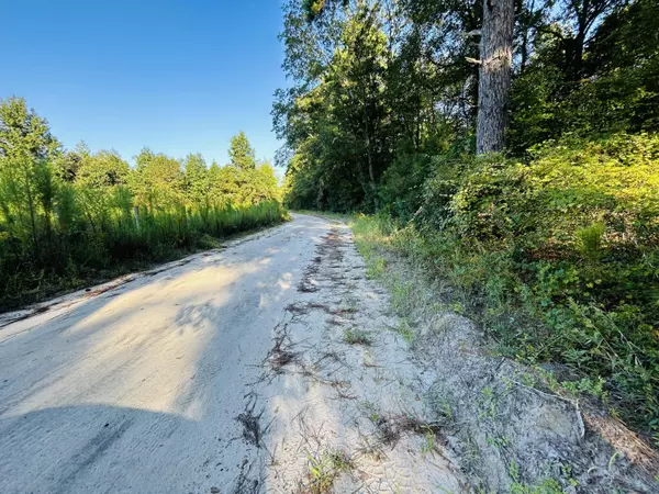 Rowesville, SC 29133,00 Camelot Dr