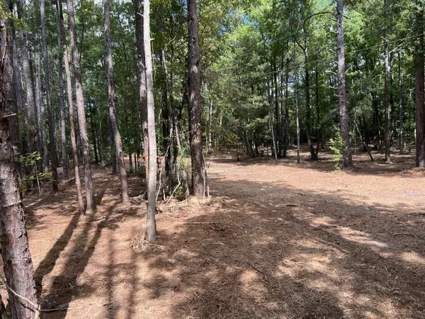 Yemassee, SC 29945,24 Major St