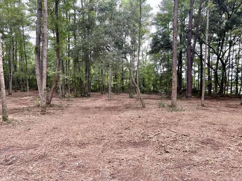 24 Major St, Yemassee, SC 29945