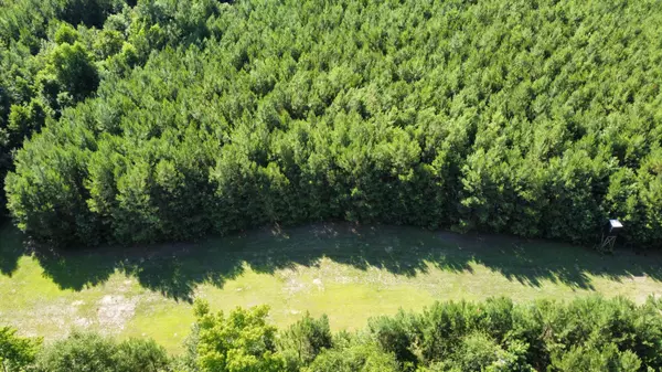 0 Tupperware Rd,  Hemingway,  SC 29554