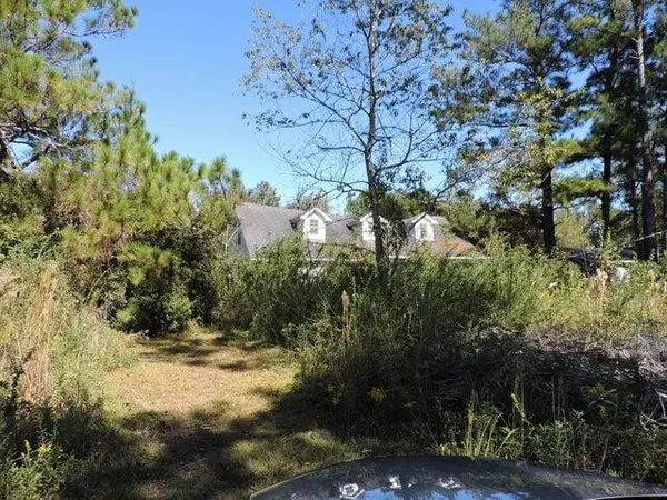 534 Pineflat Rd, Eutawville, SC 29048