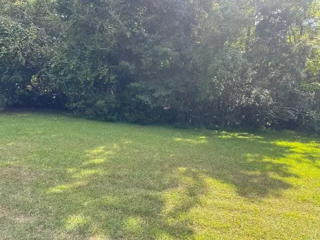 Hampton, SC 29924,Tbd Middle St