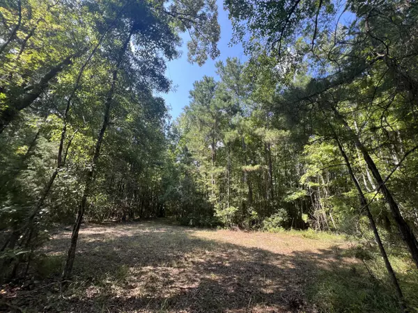 Jamestown, SC 29453,0 French Santee Rd