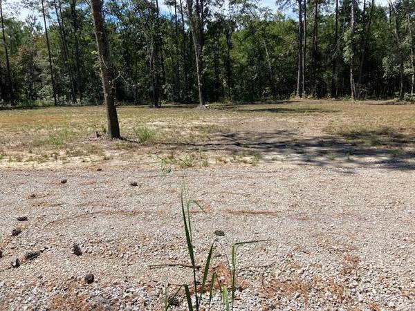 Oo Wildgame Road #Lot # 3, Summerville, SC 29485