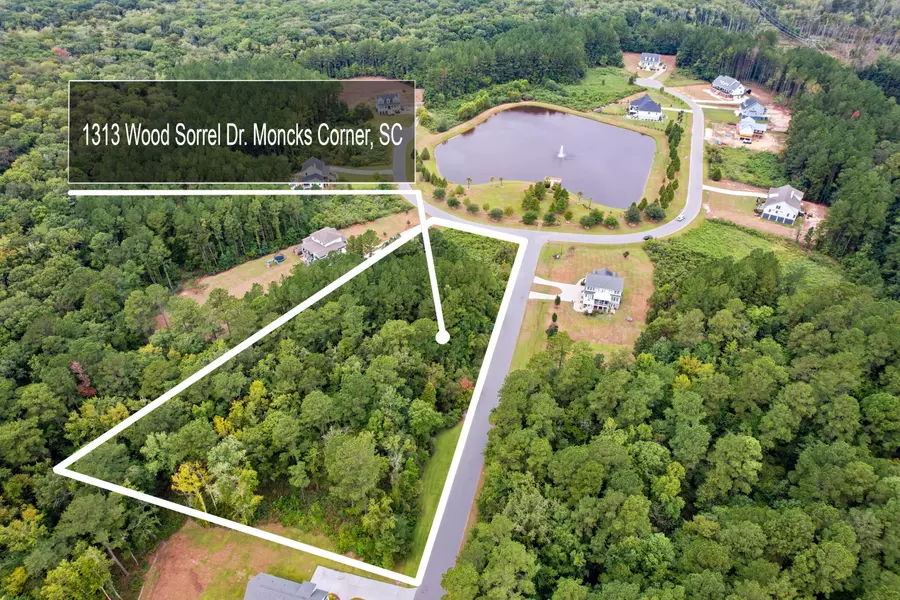 1313 Wood Sorrel Dr, Moncks Corner, SC 29461