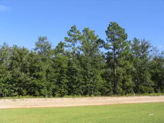 Orangeburg, SC 29118,0 Shore Dr #Lot 36