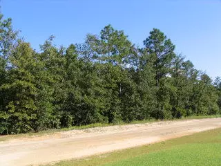 Orangeburg, SC 29118,0 Shore Dr #Lot 35