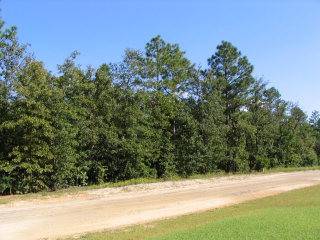 0 Shore Dr #Lot 35, Orangeburg, SC 29118