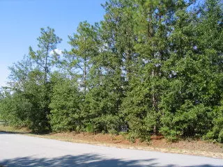 Orangeburg, SC 29118,0 Shore Dr #Lot 30