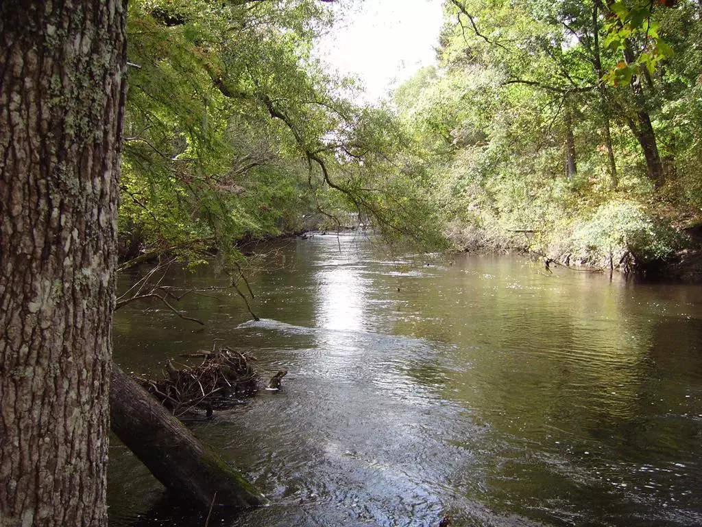 Cottageville, SC 29435,0 Sandy Landing Ln