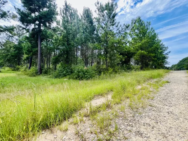 Salters, SC 29590,19 Old Camp Ln