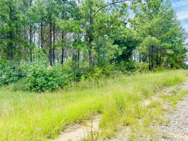 Salters, SC 29590,19 Old Camp Ln