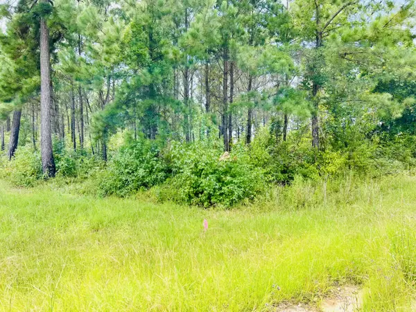 Salters, SC 29590,19 Old Camp Ln