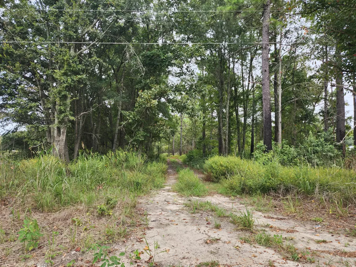 Saint Stephen, SC 29479,0 Spring Dell  Way