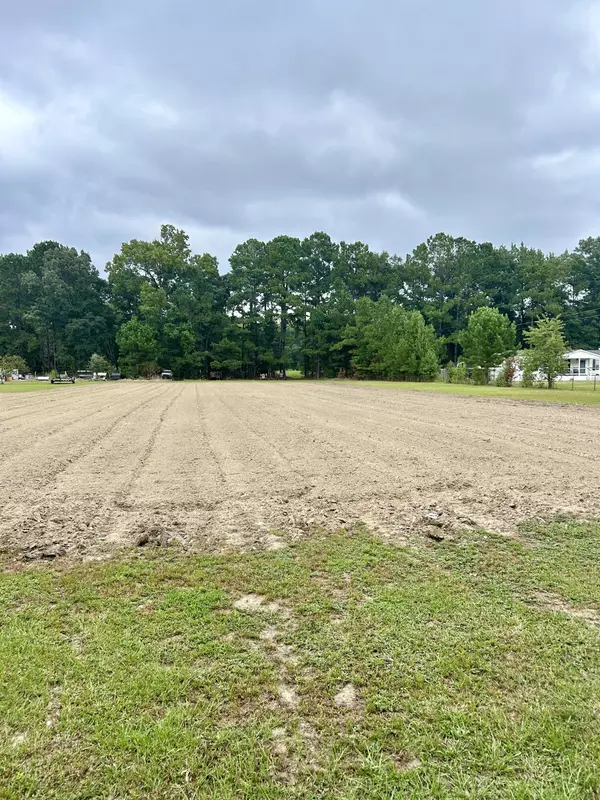 Ridgeville, SC 29472,00 Highway 61