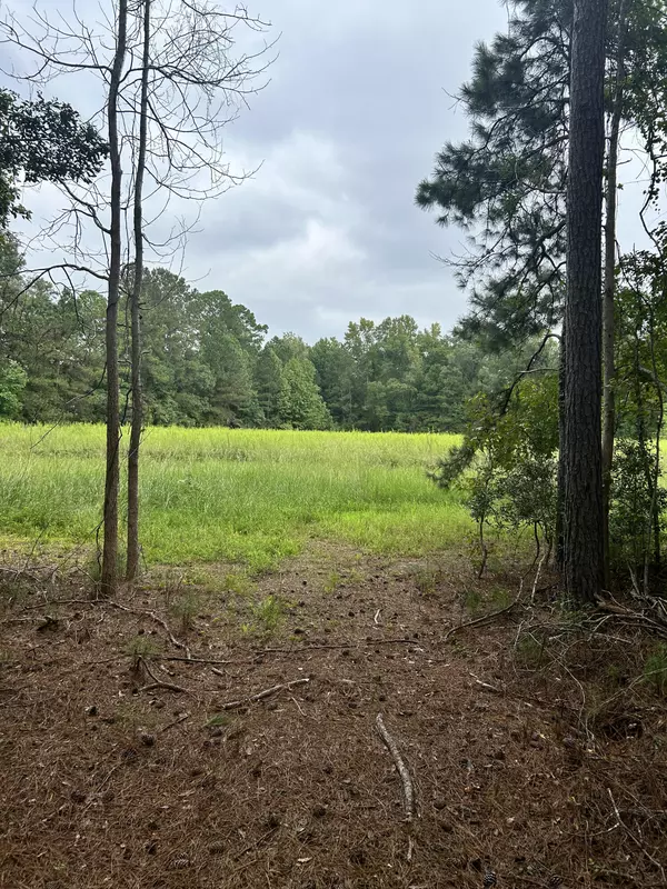 Ridgeville, SC 29472,00 Highway 61