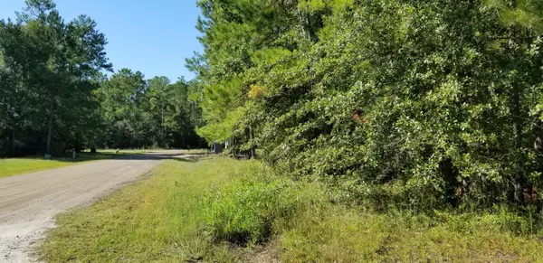 Walterboro, SC 29488,0 Watershed Ct