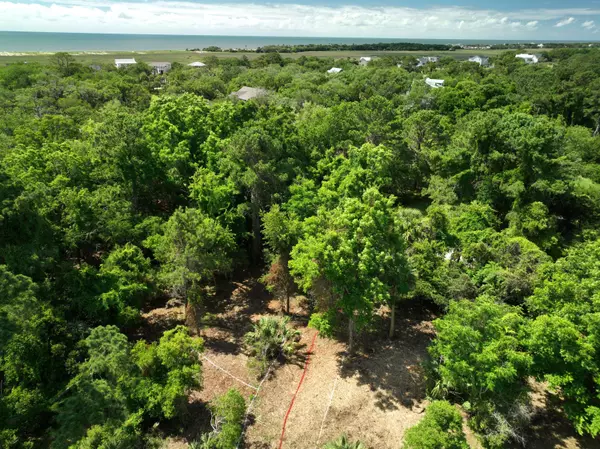 Edisto Island, SC 29438,697 Jan Savage Way #Lot (A-A-A)