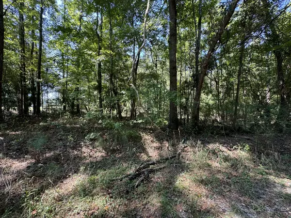 Walterboro, SC 29488,62 Portee Ln