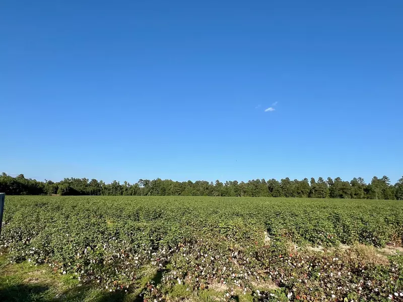 Lot 5 S Hwy 15, Saint George, SC 29477