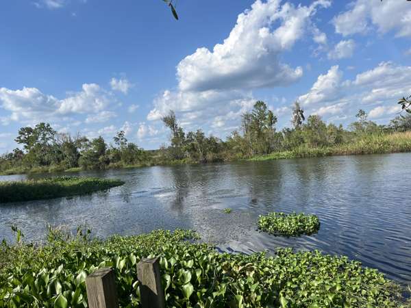 Walterboro, SC 29488,811 Backfield