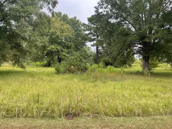 Summerton, SC 29148,0 Fishing Place