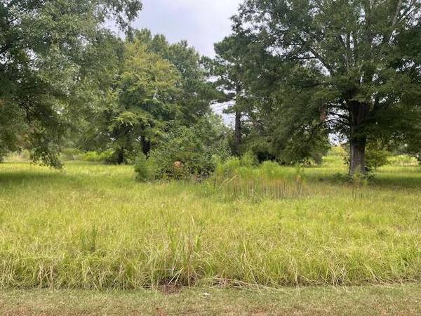 Summerton, SC 29148,0 Fishing Place