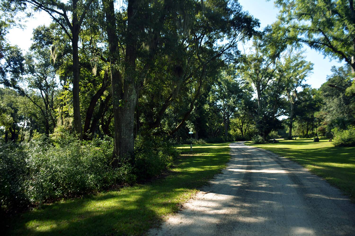 Edisto Island, SC 29438,6 Oakwood Ln