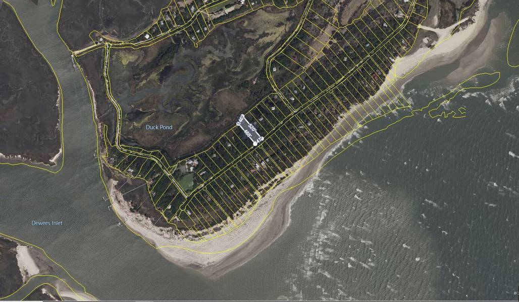 284 Pelican Flight Dr, Dewees Island, SC 29451