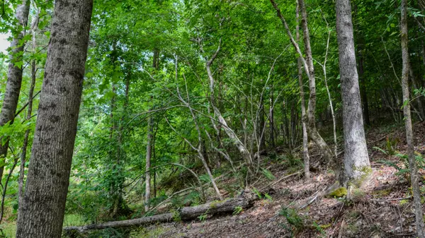 Gaffney, SC 29340,0 Wilkinsville & Smith Ford Rd