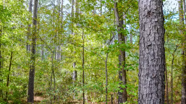 Pacolet, SC 29372,0 W Asbury Road Rd