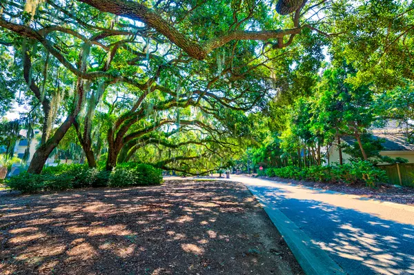 Johns Island, SC 29455,4255 Hope Plantation Dr