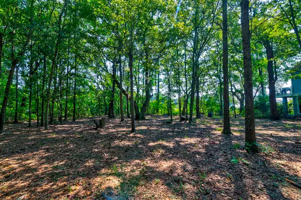 Johns Island, SC 29455,4255 Hope Plantation Dr