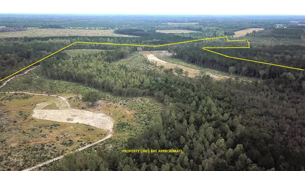 0 Fellowship Rd, Williston, SC 29853