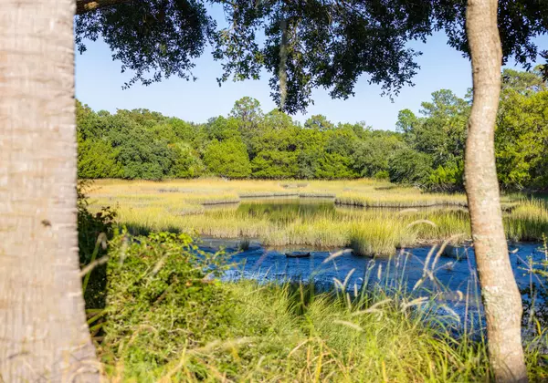 Seabrook Island, SC 29455,1311 S Jenkins Lagoon Dr