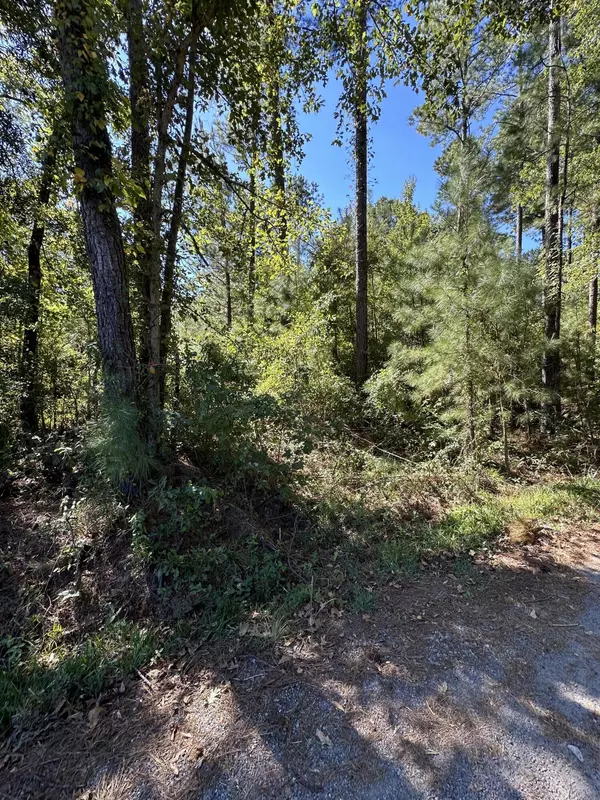 Bonneau, SC 29431,126 Old Still Ln