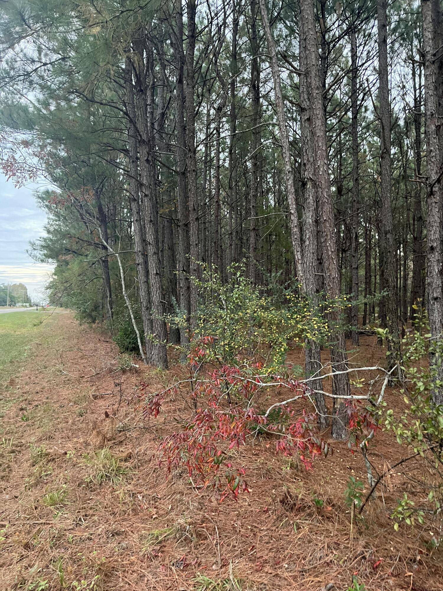 Wagener, SC 29164,Dh 1 Wagener Rd #Dh 1