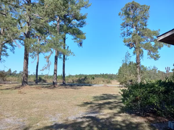 Varnville, SC 29944,1138 Mill Pond Rd