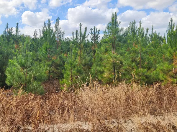 Gilbert, SC 29054,Bce 9a Kelly Day Rd #Bce 9a