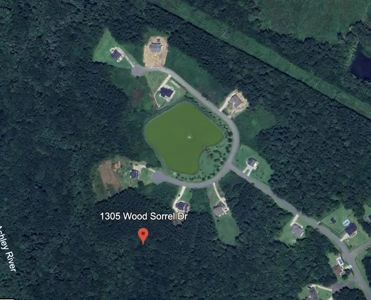 1305 Wood Sorrel Dr, Moncks Corner, SC 29461