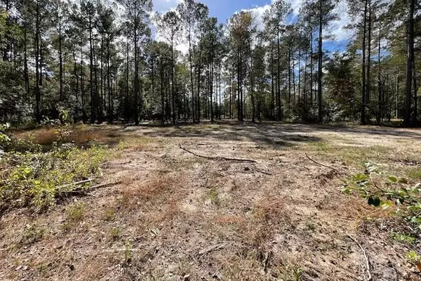 Bonneau, SC 29431,430 Creek Estates Ln