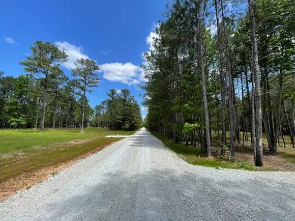 Saint Stephen, SC 29479,321 River Bluff Trl
