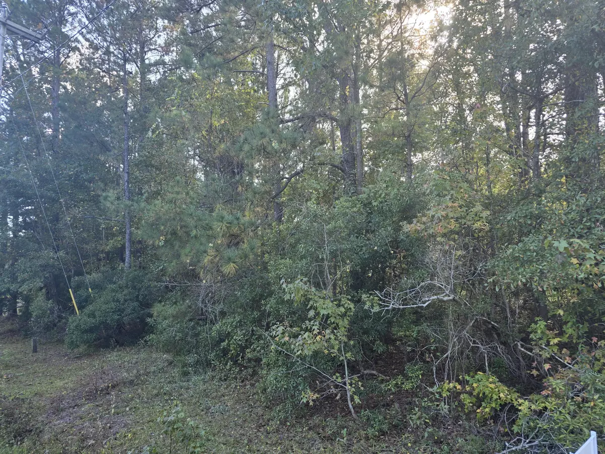 Moncks Corner, SC 29461,000 Haynesville Ext Rd